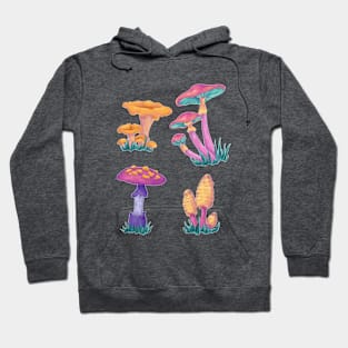 Vintage Colorful Mushrooms - Hippie Art Hoodie